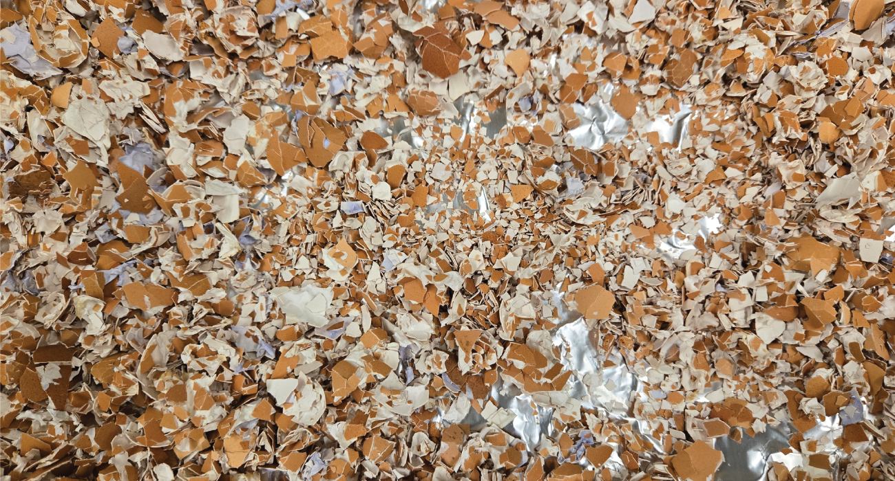 Eggshells